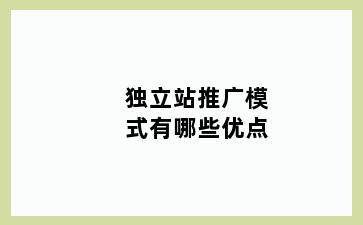 独立站推广模式有哪些优点