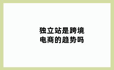 独立站是跨境电商的趋势吗