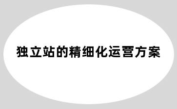 独立站的精细化运营方案