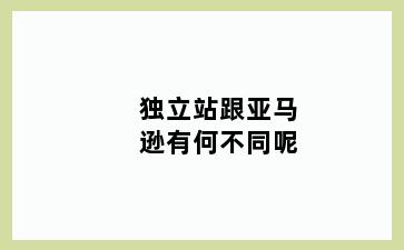 独立站跟亚马逊有何不同呢