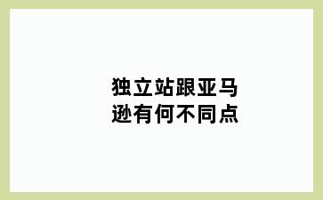 独立站跟亚马逊有何不同点