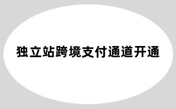 独立站跨境支付通道开通