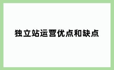 独立站运营优点和缺点