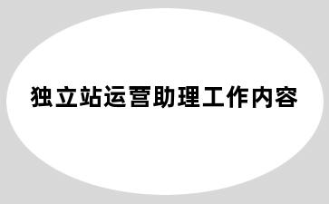 独立站运营助理工作内容