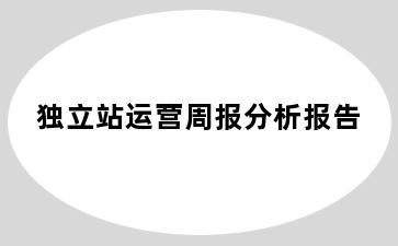 独立站运营周报分析报告