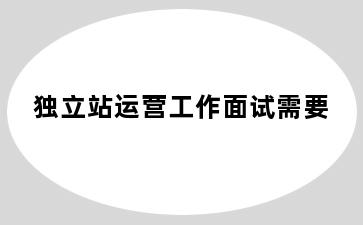 独立站运营工作面试需要