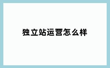 独立站运营怎么样