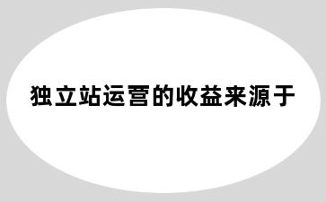 独立站运营的收益来源于