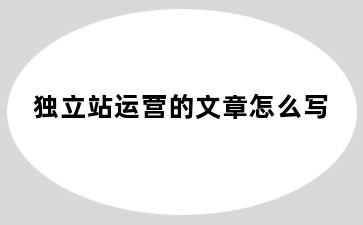 独立站运营的文章怎么写