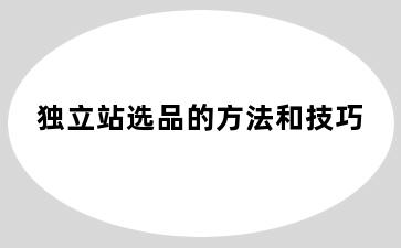 独立站选品的方法和技巧