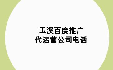 玉溪百度推广代运营公司电话