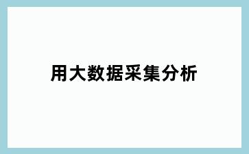 用大数据采集分析