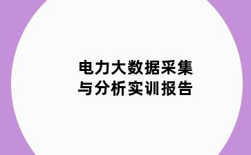 电力大数据采集与分析实训报告