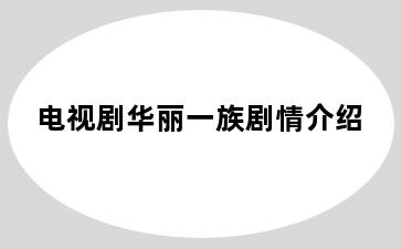 电视剧华丽一族剧情介绍