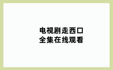 电视剧走西口全集在线观看