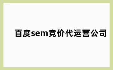 百度sem竞价代运营公司