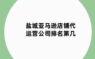 盐城亚马逊店铺代运营公司排名第几