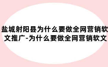 盐城射阳县为什么要做全网营销软文推广-为什么要做全网营销软文推广工作