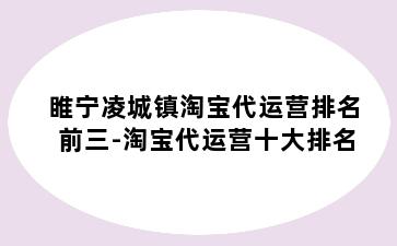 睢宁凌城镇淘宝代运营排名前三-淘宝代运营十大排名