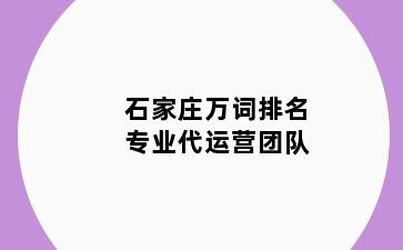 石家庄万词排名专业代运营团队