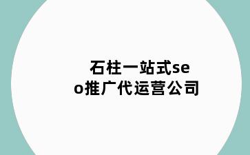 石柱一站式seo推广代运营公司