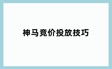 神马竞价投放技巧