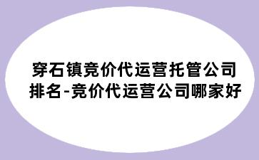 穿石镇竞价代运营托管公司排名-竞价代运营公司哪家好