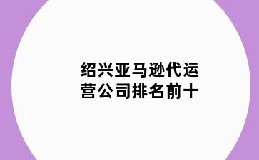 绍兴亚马逊代运营公司排名前十