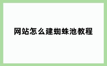 网站怎么建蜘蛛池教程