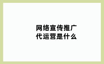 网络宣传推广代运营是什么