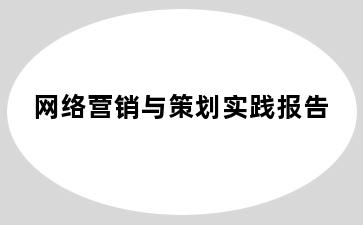 网络营销与策划实践报告