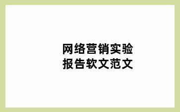 网络营销实验报告软文范文