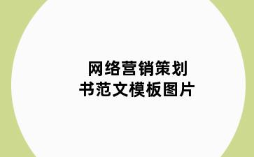 网络营销策划书范文模板图片