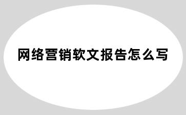 网络营销软文报告怎么写