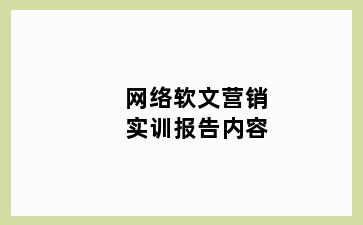 网络软文营销实训报告内容