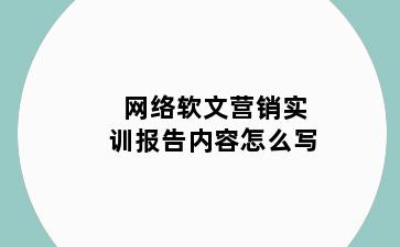 网络软文营销实训报告内容怎么写