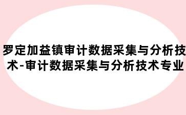 罗定加益镇审计数据采集与分析技术-审计数据采集与分析技术专业