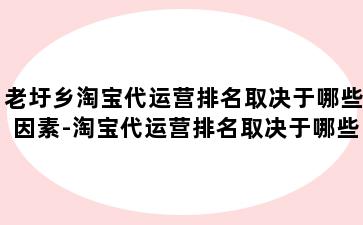 老圩乡淘宝代运营排名取决于哪些因素-淘宝代运营排名取决于哪些因素分析