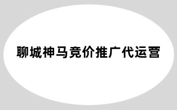 聊城神马竞价推广代运营