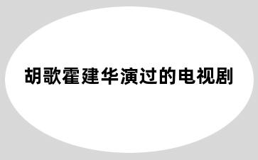 胡歌霍建华演过的电视剧