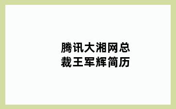 腾讯大湘网总裁王军辉简历