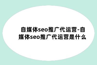 自媒体seo推广代运营-自媒体seo推广代运营是什么