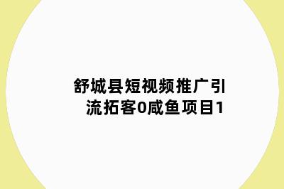 舒城县短视频推广引流拓客0咸鱼项目1