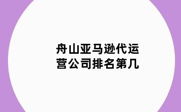 舟山亚马逊代运营公司排名第几