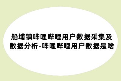 船埔镇哔哩哔哩用户数据采集及数据分析-哔哩哔哩用户数据是啥