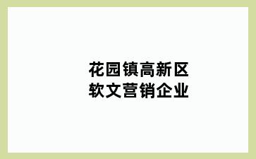 花园镇高新区软文营销企业