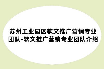 苏州工业园区软文推广营销专业团队-软文推广营销专业团队介绍