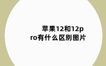 苹果12和12pro有什么区别图片