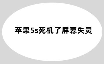 苹果5s死机了屏幕失灵