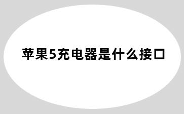 苹果5充电器是什么接口